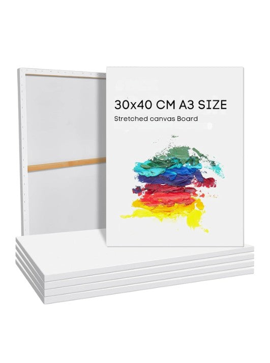 AL MOA Canvas Board 30X40