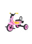 Tricycle Ride On Scooter Pedal Bike