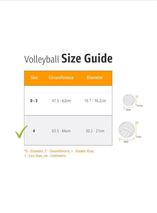 Mikasa Volleyball MVA200